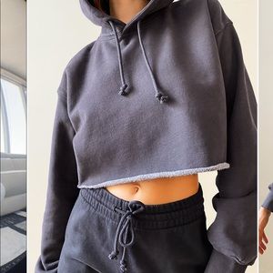 Aritzia cropped hoodie sz 2